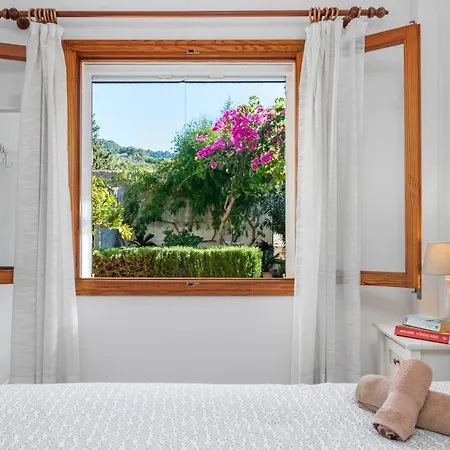 Bougainvillea