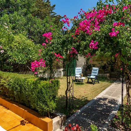 Bougainvillea * Port De Soller