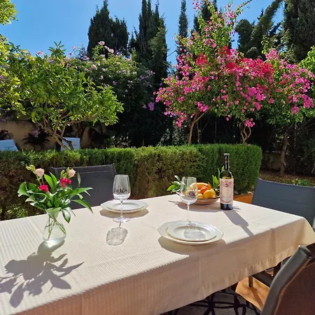 Bougainvillea Port De Soller